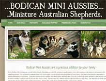 Tablet Screenshot of bodicanminiaussies.com